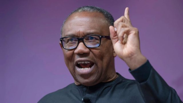 Why Nigeria must learn from South Africa election — Peter Obi